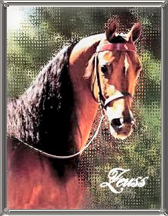 Mosaic_Glass.jpg
