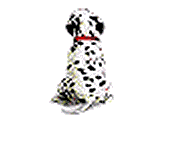 doghi.gif