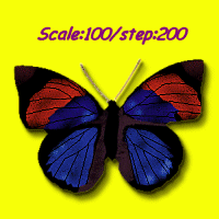 image8.gif