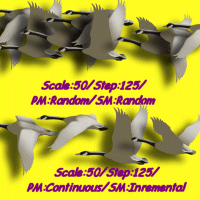 image9.gif